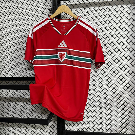 Camiseta Local Gales 2026 Versión Fan 1:1