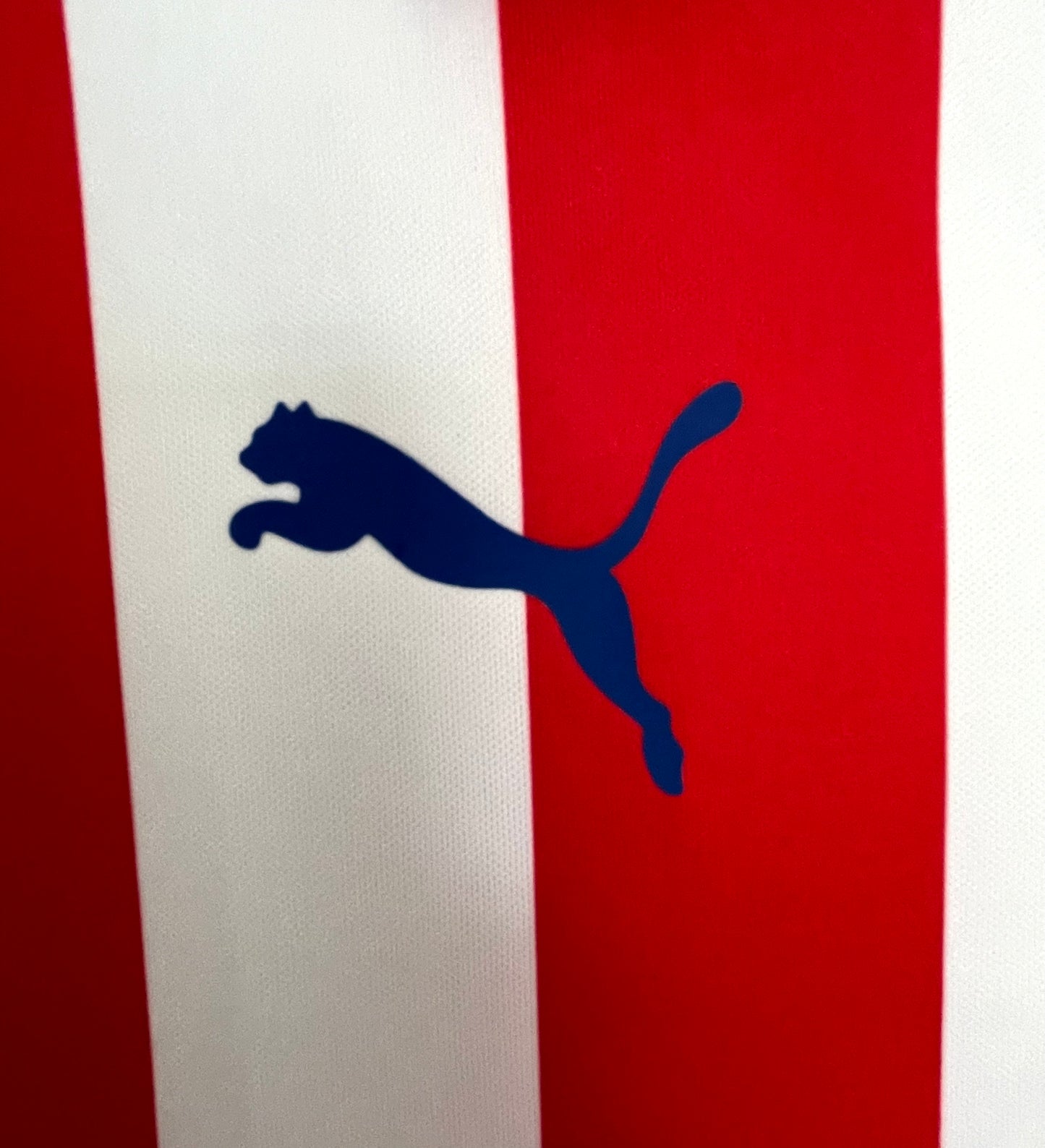 Chivas 110 aniversario 16-17 RETRO